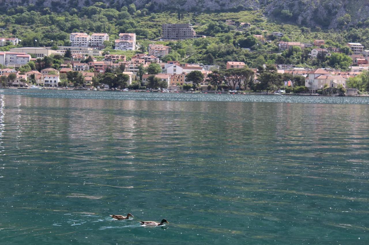 Mare E Montagna Apartment Kotor Bagian luar foto