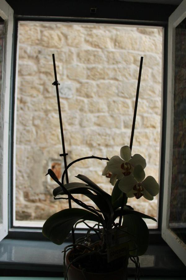 Mare E Montagna Apartment Kotor Bagian luar foto